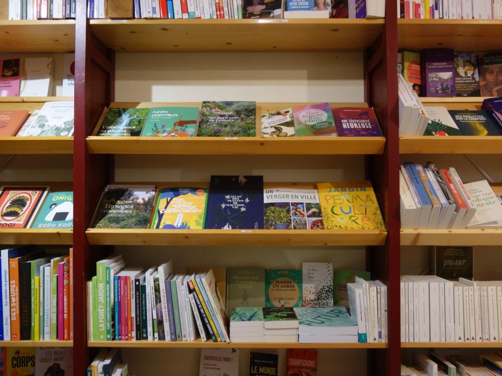 Librairie Acacia Libourne (36)-1684576468076